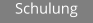 Schulung